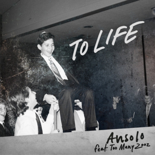 Ansolo, Too Many Zooz - To Life (Original Mix)
