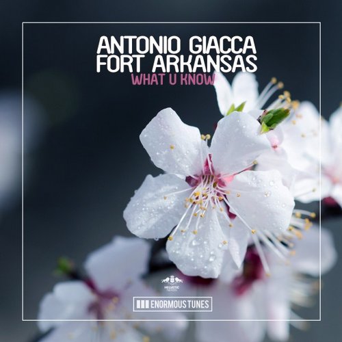 Antonio Giacca, Fort Arkansas - What U Know (Original Mix)