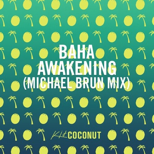 Baha - Awakening (Michael Brun Mix)