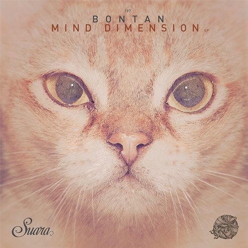 Bontan - State Of Mind (Original Mix)