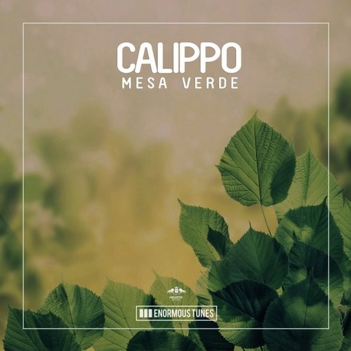 Calippo - Mesa Verde (Original Mix)