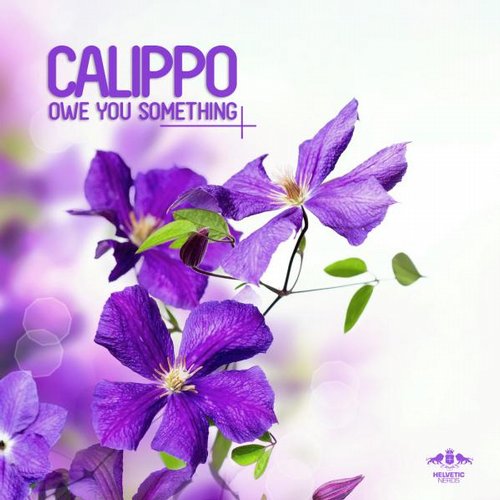 Calippo - Owe You Something (Me & My Toothbrush Remix)