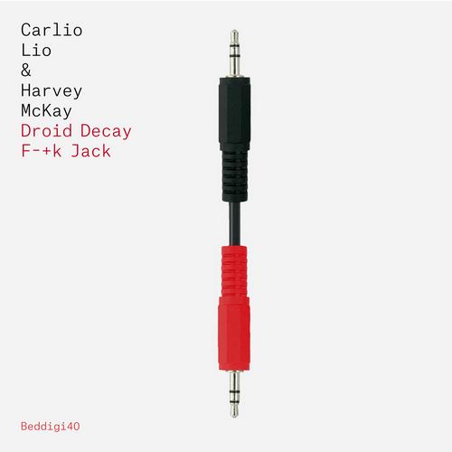 Carlo Lio, Harvey McKay - Droid Decay (Original Mix)