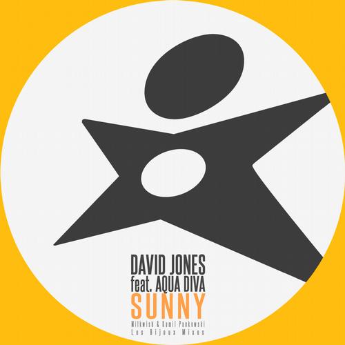 David Jones, Aqua Diva - Sunny Feat. Aqua Diva (Les Bijoux Remix)