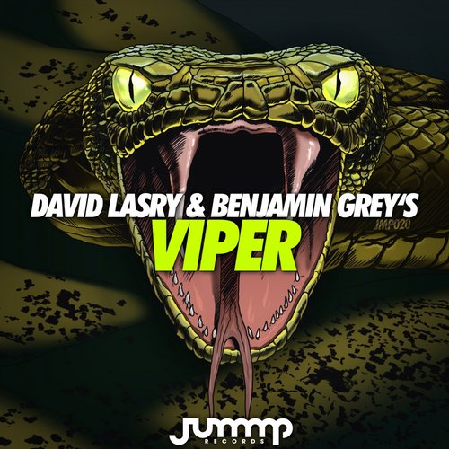 David Lasry, Benjamin Grey's - Viper (Original Mix)