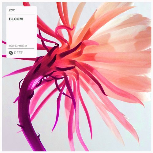 EDX - Bloom (Extended Mix)