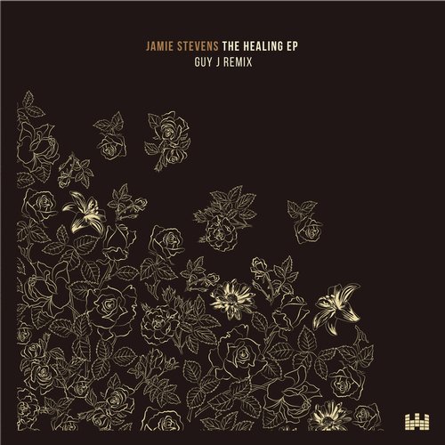 Jamie Stevens - My Tears Don't Help Me (Guy J Remix)