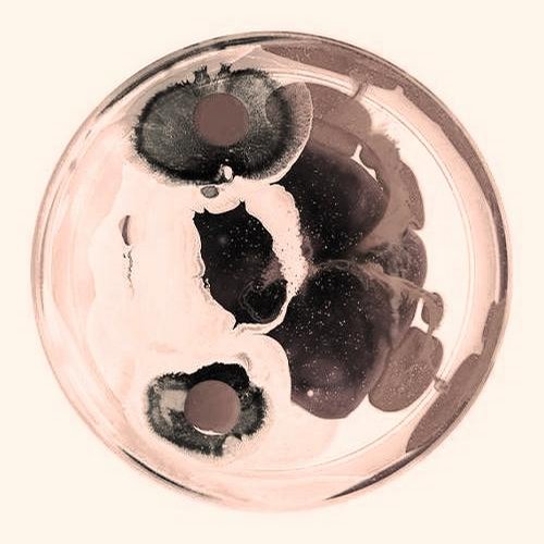 Marco Fender, Daniel Lera - TNT (Daniel Lera Remix)