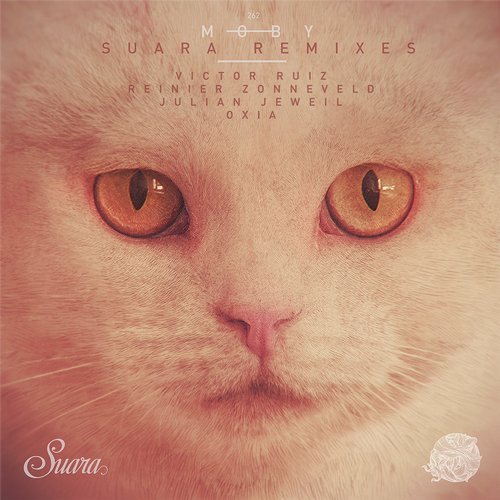 Moby - Natural Blues (Victor Ruiz Remix)