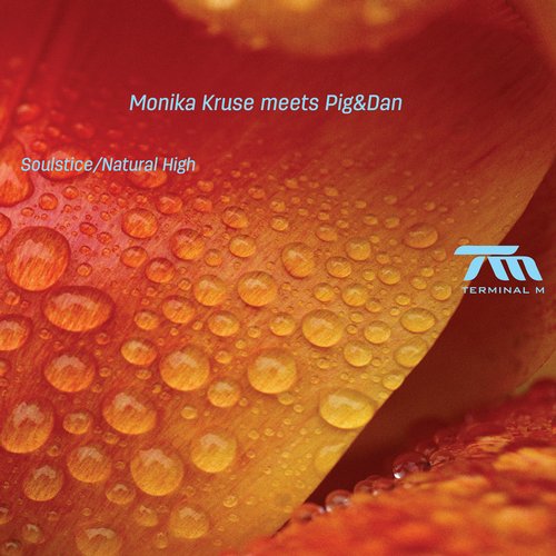 Monika Kruse, Pig&Dan - Soulstice (Original Mix)