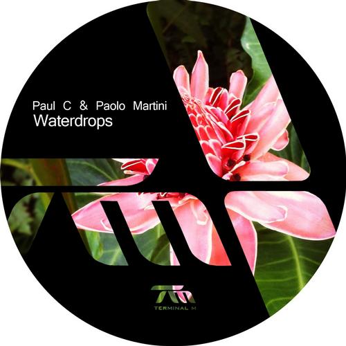 Paul C, Paolo Martini - Waterdrops (Original Mix)