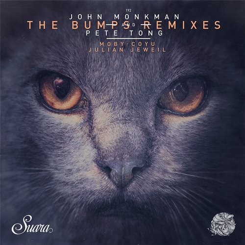 Pete Tong, John Monkman - The Bumps (Moby Remix)
