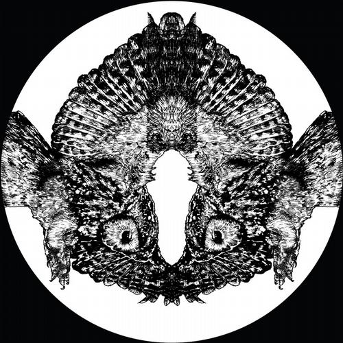 Pfirter - Ahora (Original Mix)