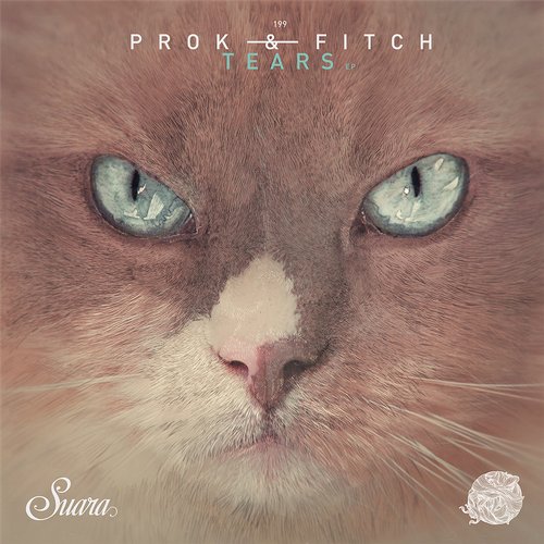 Prok & Fitch - Hot Controller (Original Mix)