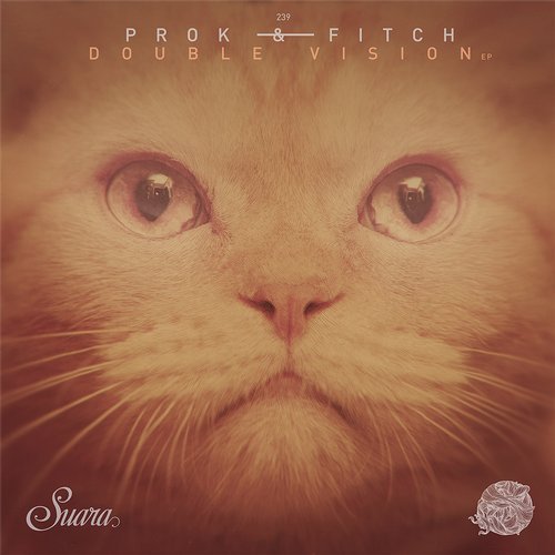 Prok & Fitch - Pitch Roll (Original Mix)