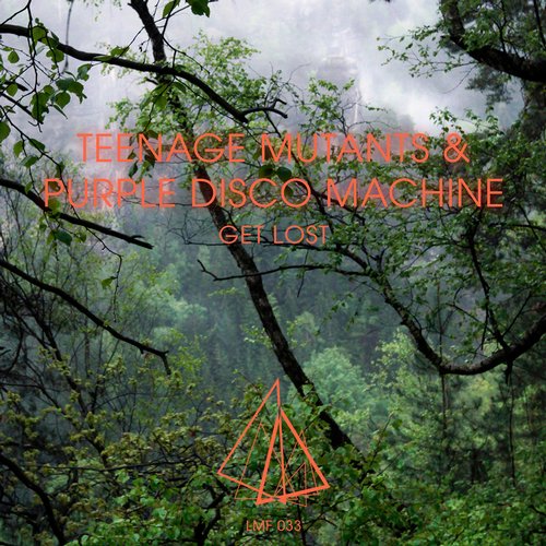 Purple Disco Machine, Teenage Mutants - Get Lost (Original Mix)