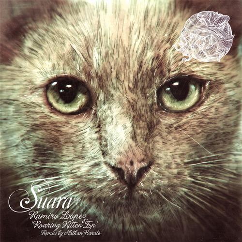 Ramiro Lopez - Comings & Goings (Original Mix)