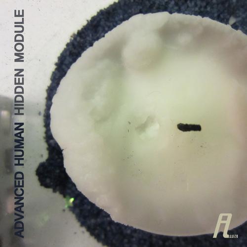 Roberto, Advanced Human - Hidden Module (Roberto Remix)