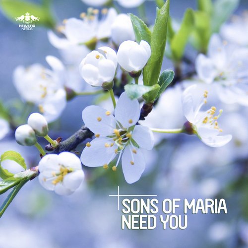 Sons Of Maria - Need You (Original Mix)