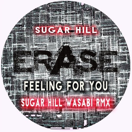 Sugar Hill - Feeling For You (Sugar Hill and Wasabi Rmx)