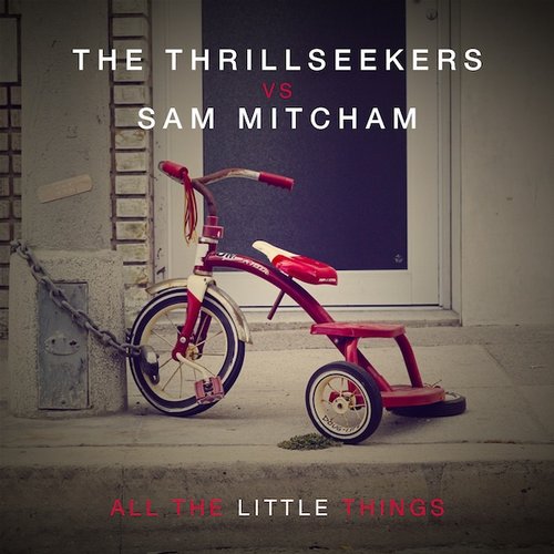 The Thrillseekers, Sam Mitcham - All The Little Things (Original)