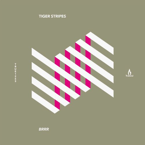 Tiger Stripes - Brrr (Original Mix)